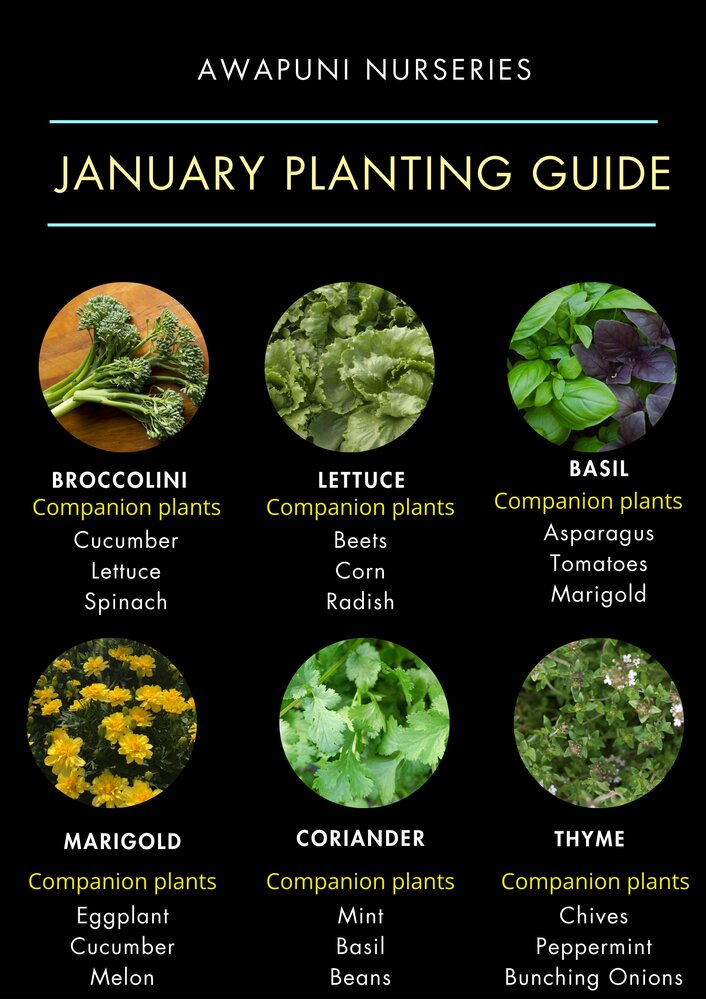 January